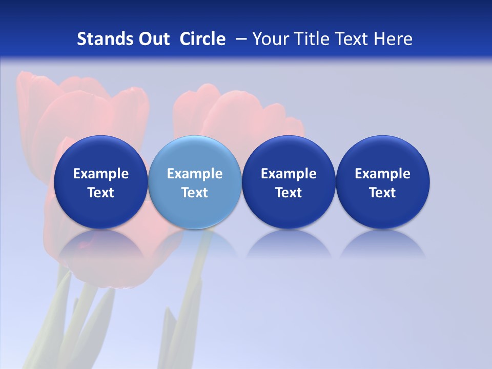 Farm Tulips Romance PowerPoint Template