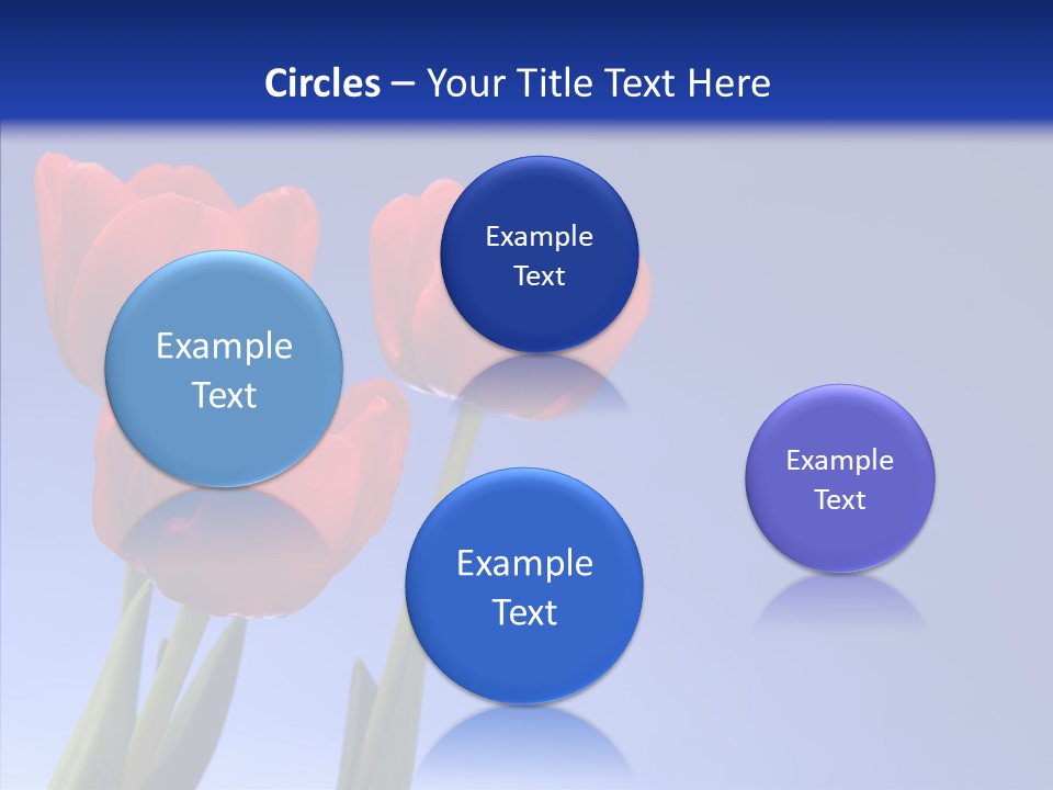 Farm Tulips Romance PowerPoint Template