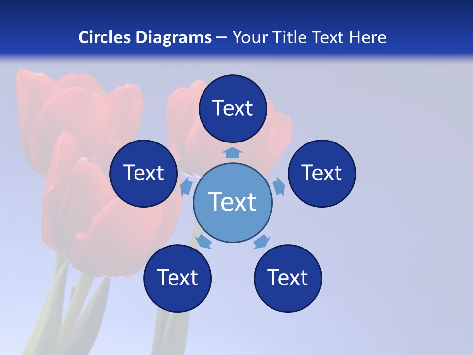 Farm Tulips Romance PowerPoint Template
