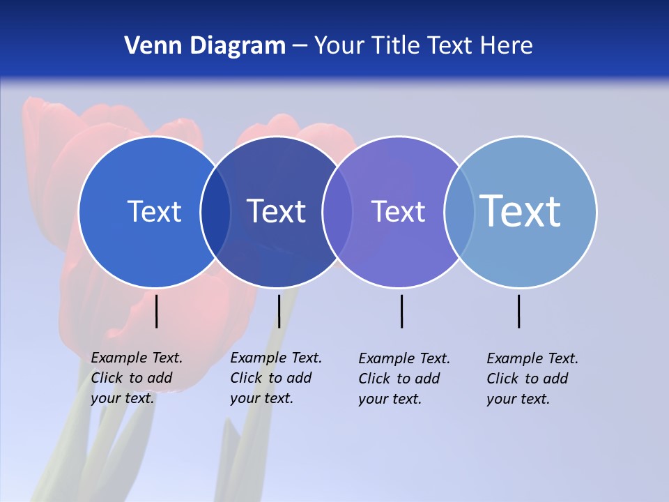 Farm Tulips Romance PowerPoint Template