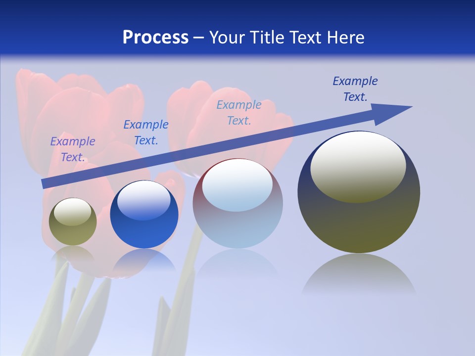 Farm Tulips Romance PowerPoint Template
