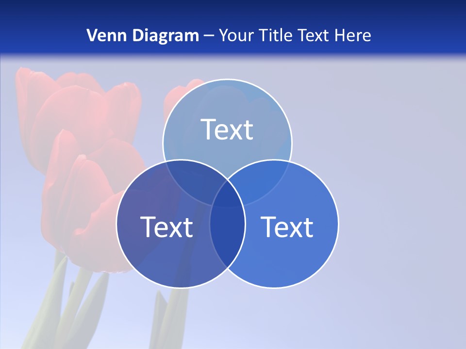 Farm Tulips Romance PowerPoint Template