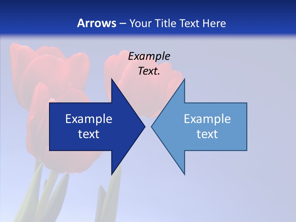 Farm Tulips Romance PowerPoint Template