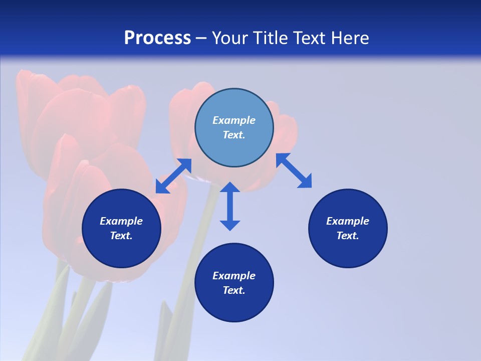 Farm Tulips Romance PowerPoint Template