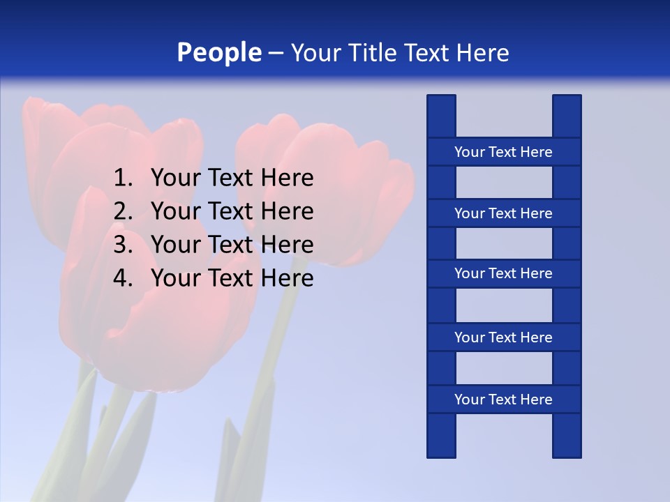 Farm Tulips Romance PowerPoint Template