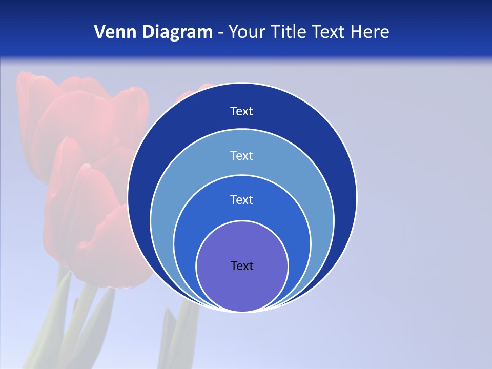 Farm Tulips Romance PowerPoint Template