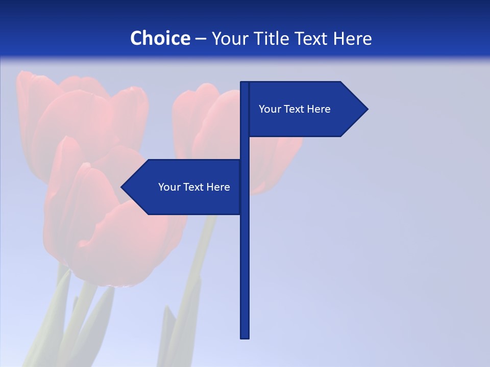 Farm Tulips Romance PowerPoint Template