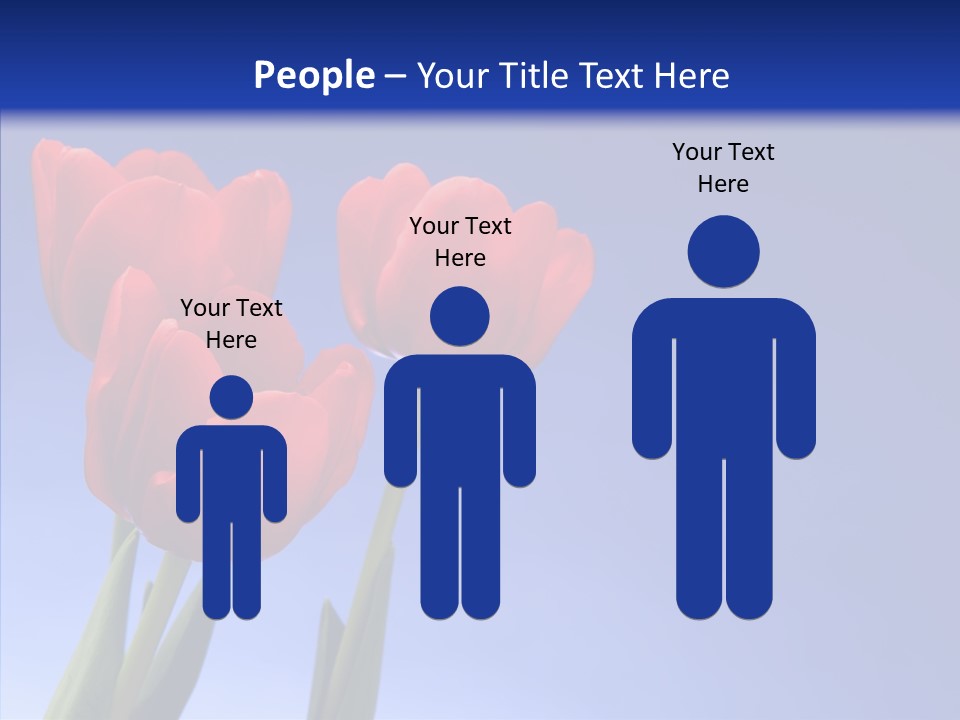 Farm Tulips Romance PowerPoint Template