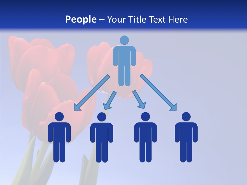 Farm Tulips Romance PowerPoint Template