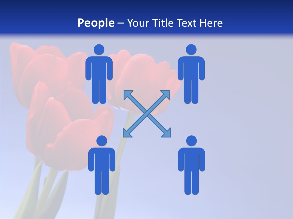 Farm Tulips Romance PowerPoint Template