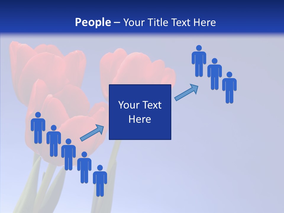 Farm Tulips Romance PowerPoint Template