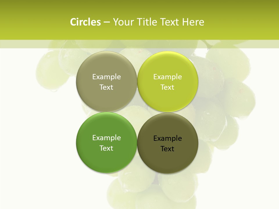 Closeup Water Combination PowerPoint Template