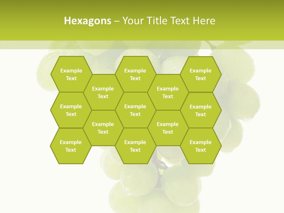 Closeup Water Combination PowerPoint Template