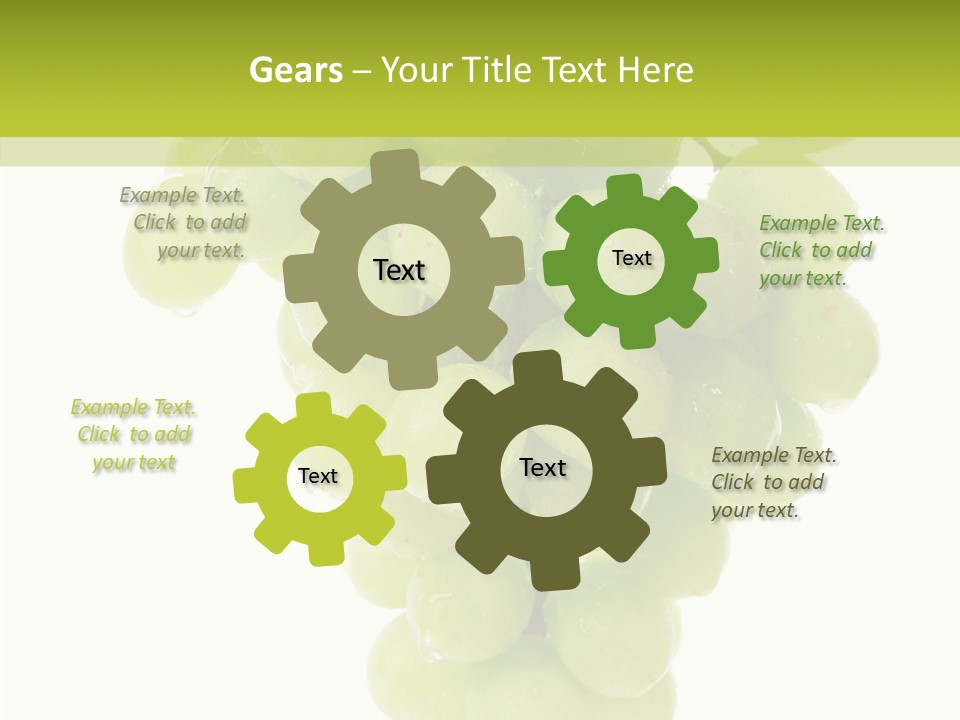 Closeup Water Combination PowerPoint Template