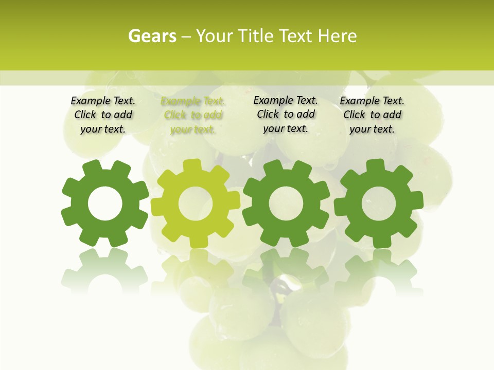 Closeup Water Combination PowerPoint Template