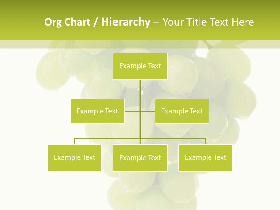 Closeup Water Combination PowerPoint Template