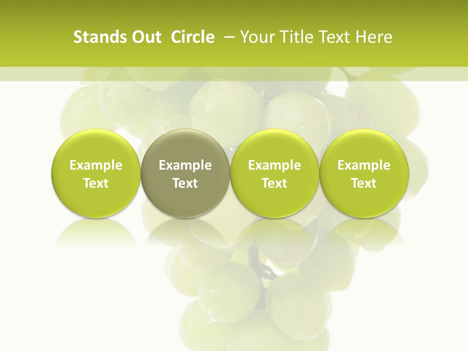 Closeup Water Combination PowerPoint Template