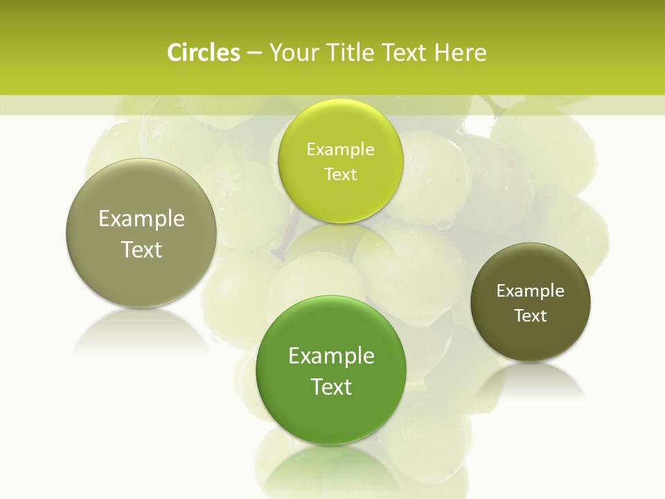 Closeup Water Combination PowerPoint Template