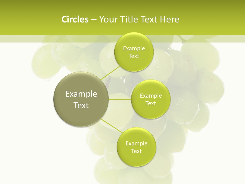 Closeup Water Combination PowerPoint Template