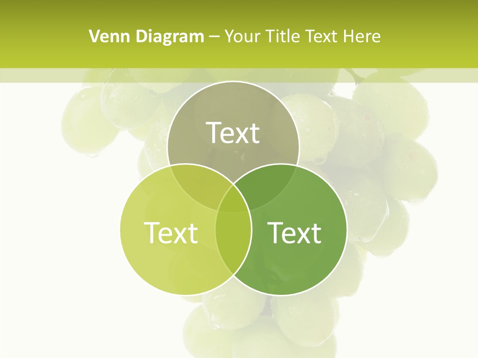 Closeup Water Combination PowerPoint Template