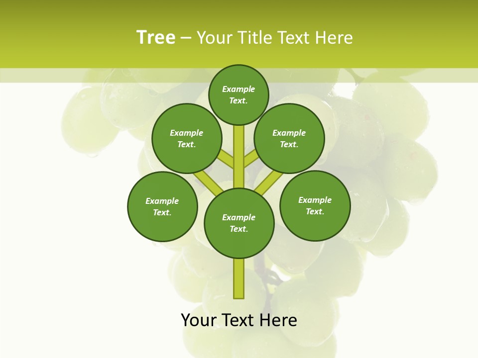 Closeup Water Combination PowerPoint Template