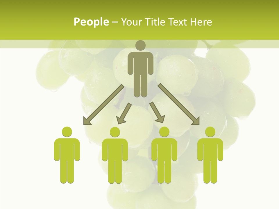 Closeup Water Combination PowerPoint Template