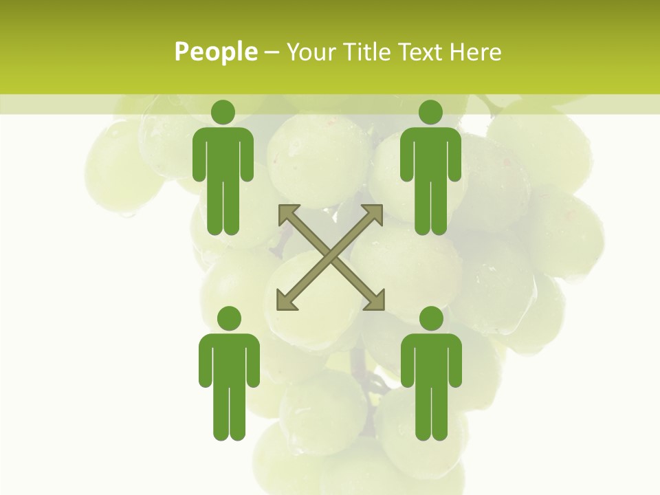 Closeup Water Combination PowerPoint Template