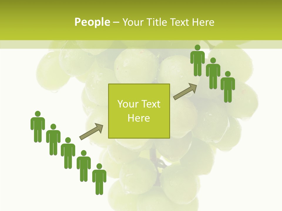 Closeup Water Combination PowerPoint Template