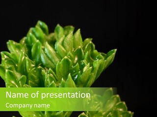 Close Leafy Harvest PowerPoint Template