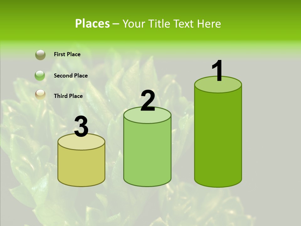 Close Leafy Harvest PowerPoint Template