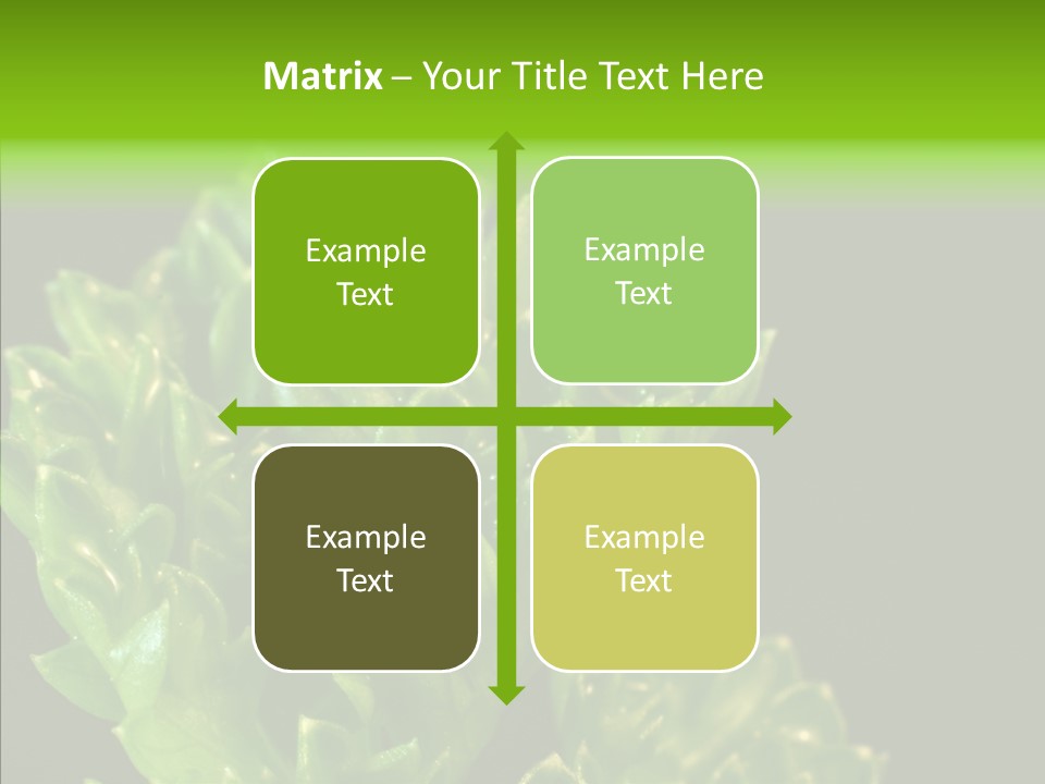 Close Leafy Harvest PowerPoint Template
