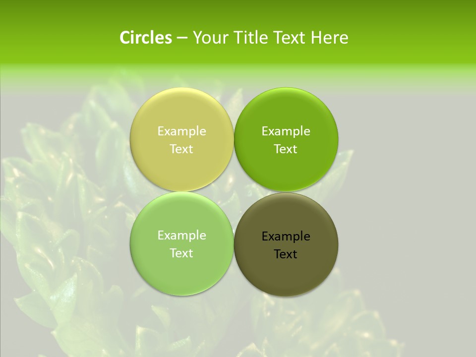 Close Leafy Harvest PowerPoint Template