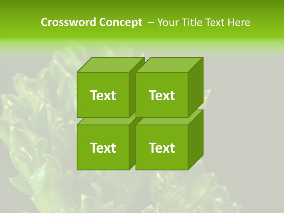 Close Leafy Harvest PowerPoint Template