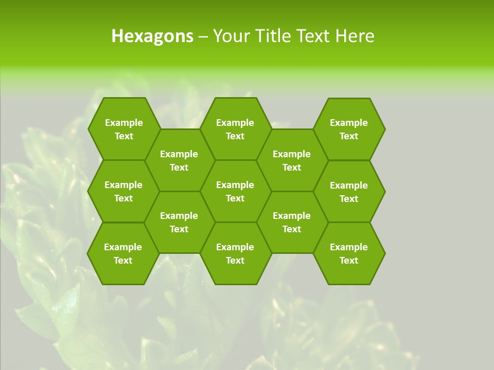 Close Leafy Harvest PowerPoint Template