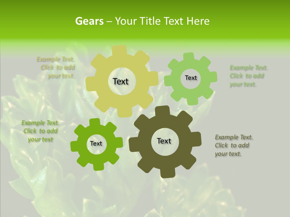 Close Leafy Harvest PowerPoint Template