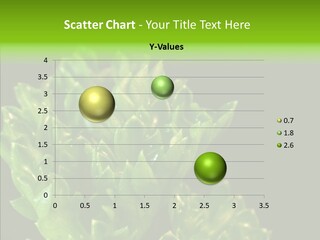 Close Leafy Harvest PowerPoint Template