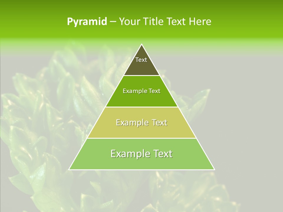 Close Leafy Harvest PowerPoint Template