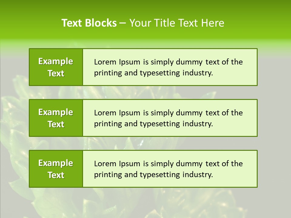 Close Leafy Harvest PowerPoint Template