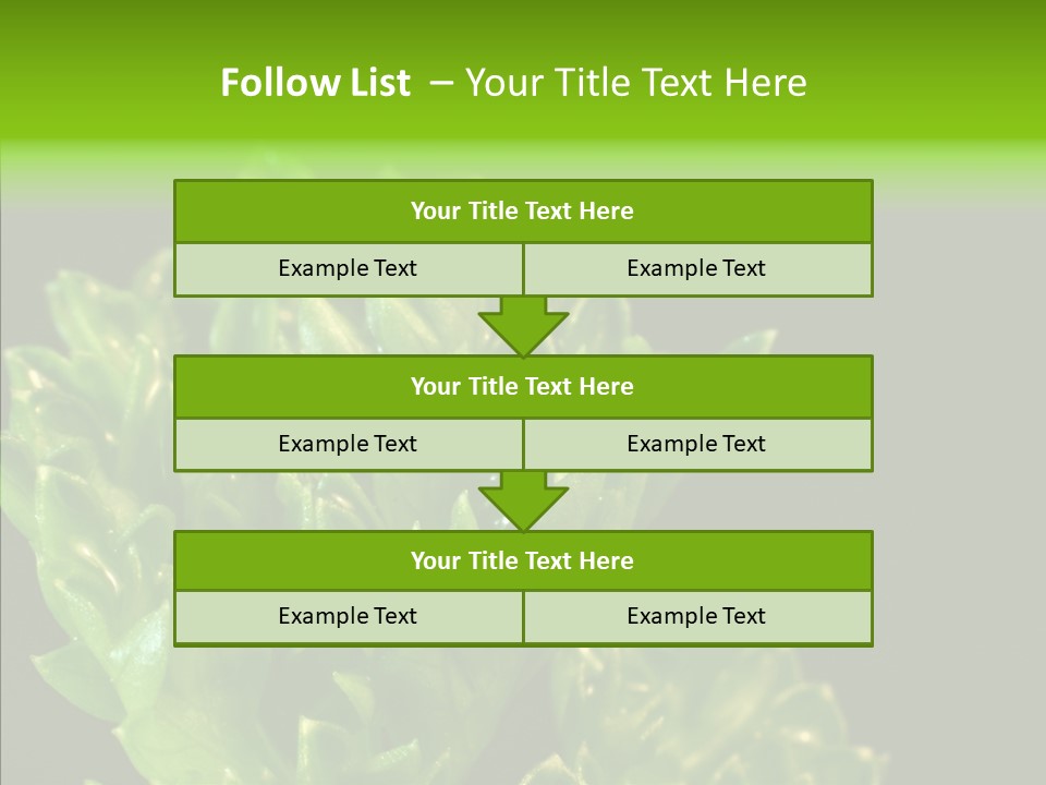 Close Leafy Harvest PowerPoint Template