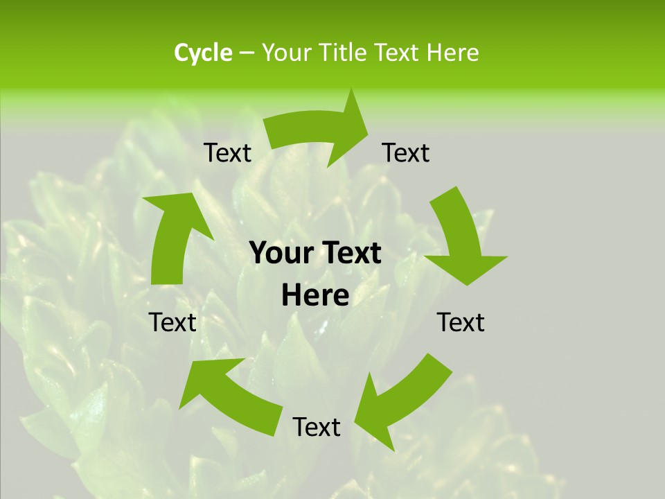 Close Leafy Harvest PowerPoint Template
