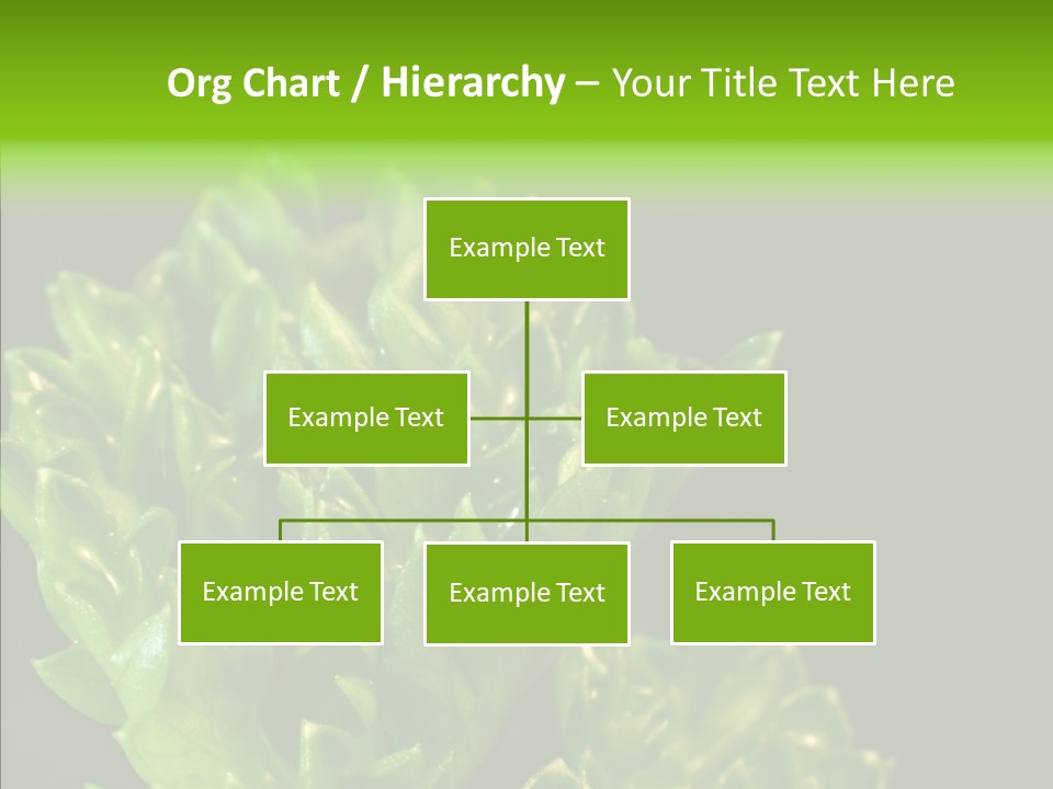 Close Leafy Harvest PowerPoint Template