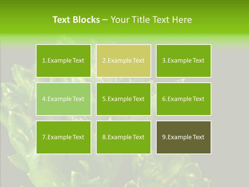 Close Leafy Harvest PowerPoint Template