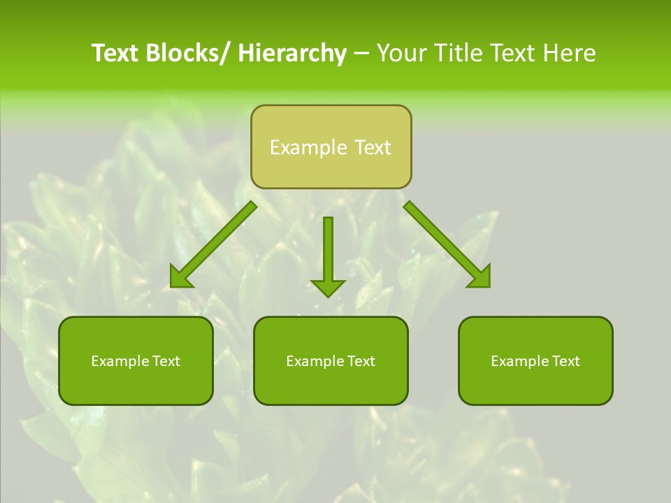 Close Leafy Harvest PowerPoint Template