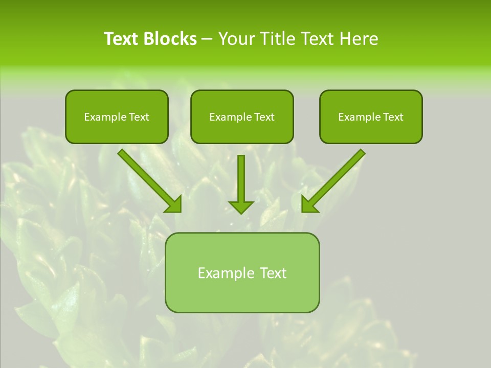 Close Leafy Harvest PowerPoint Template