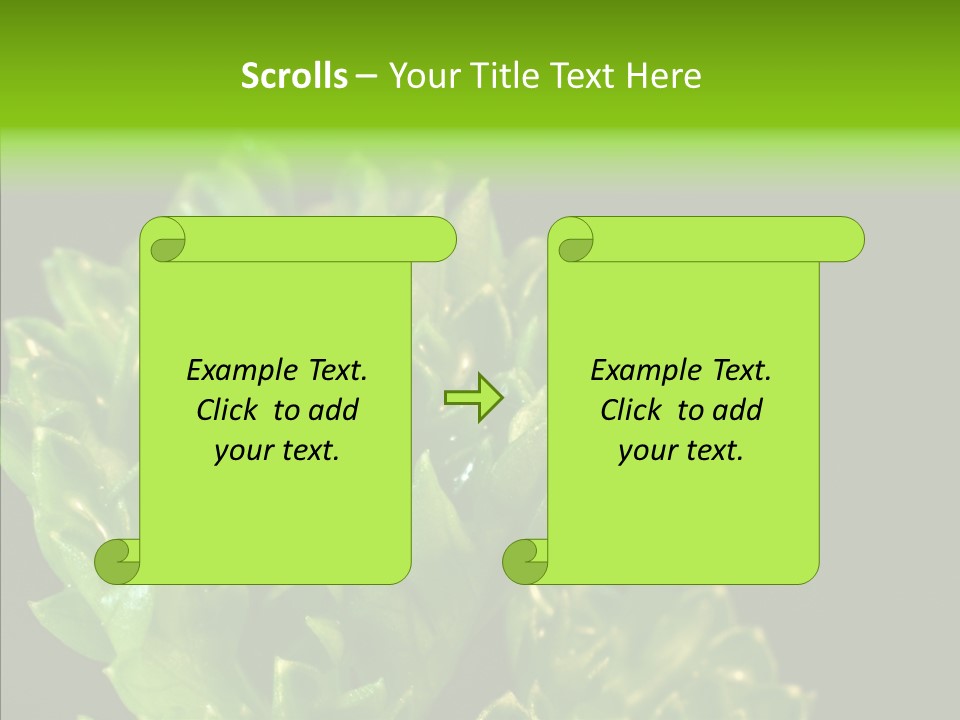Close Leafy Harvest PowerPoint Template