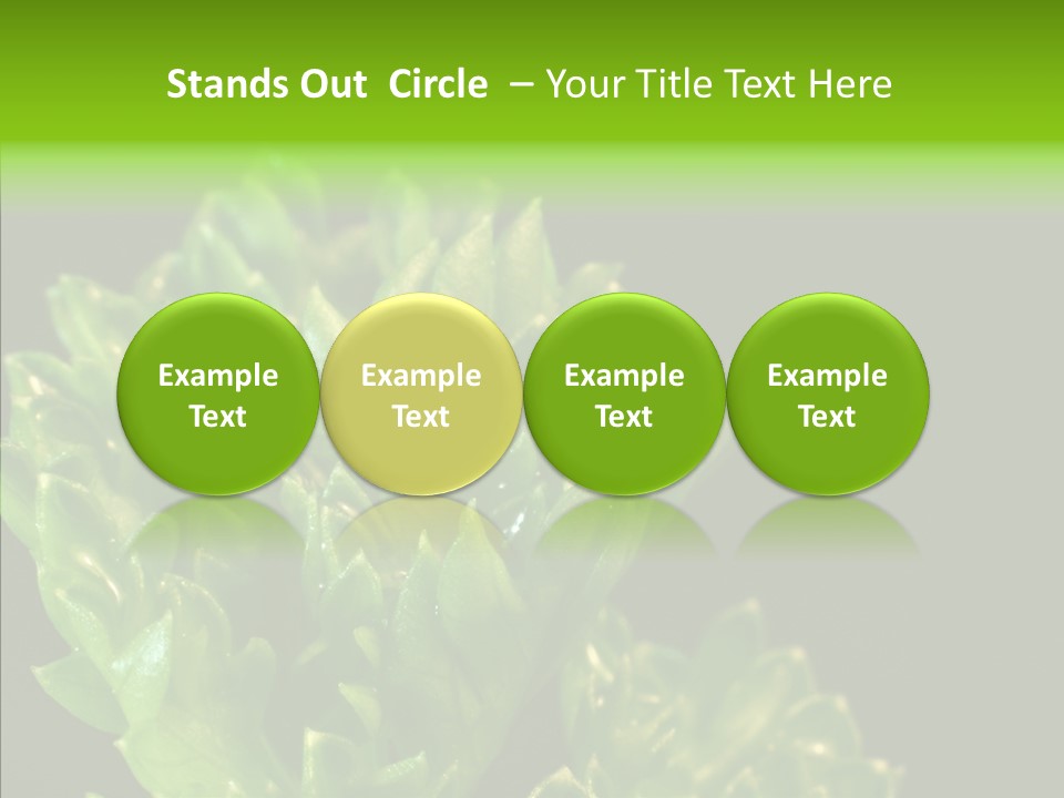 Close Leafy Harvest PowerPoint Template