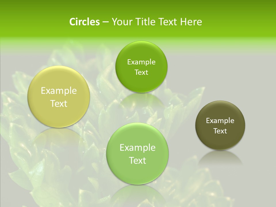 Close Leafy Harvest PowerPoint Template