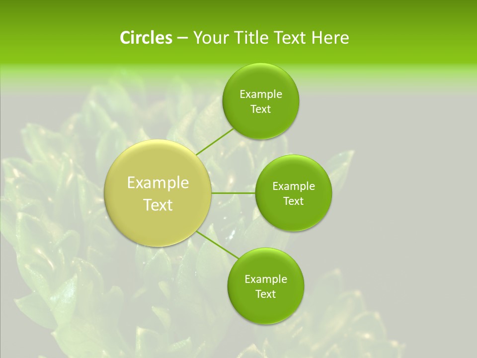 Close Leafy Harvest PowerPoint Template