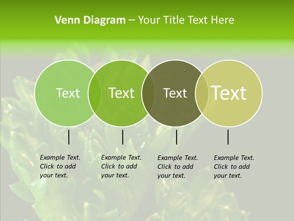 Close Leafy Harvest PowerPoint Template