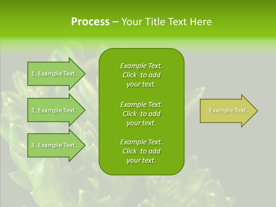 Close Leafy Harvest PowerPoint Template